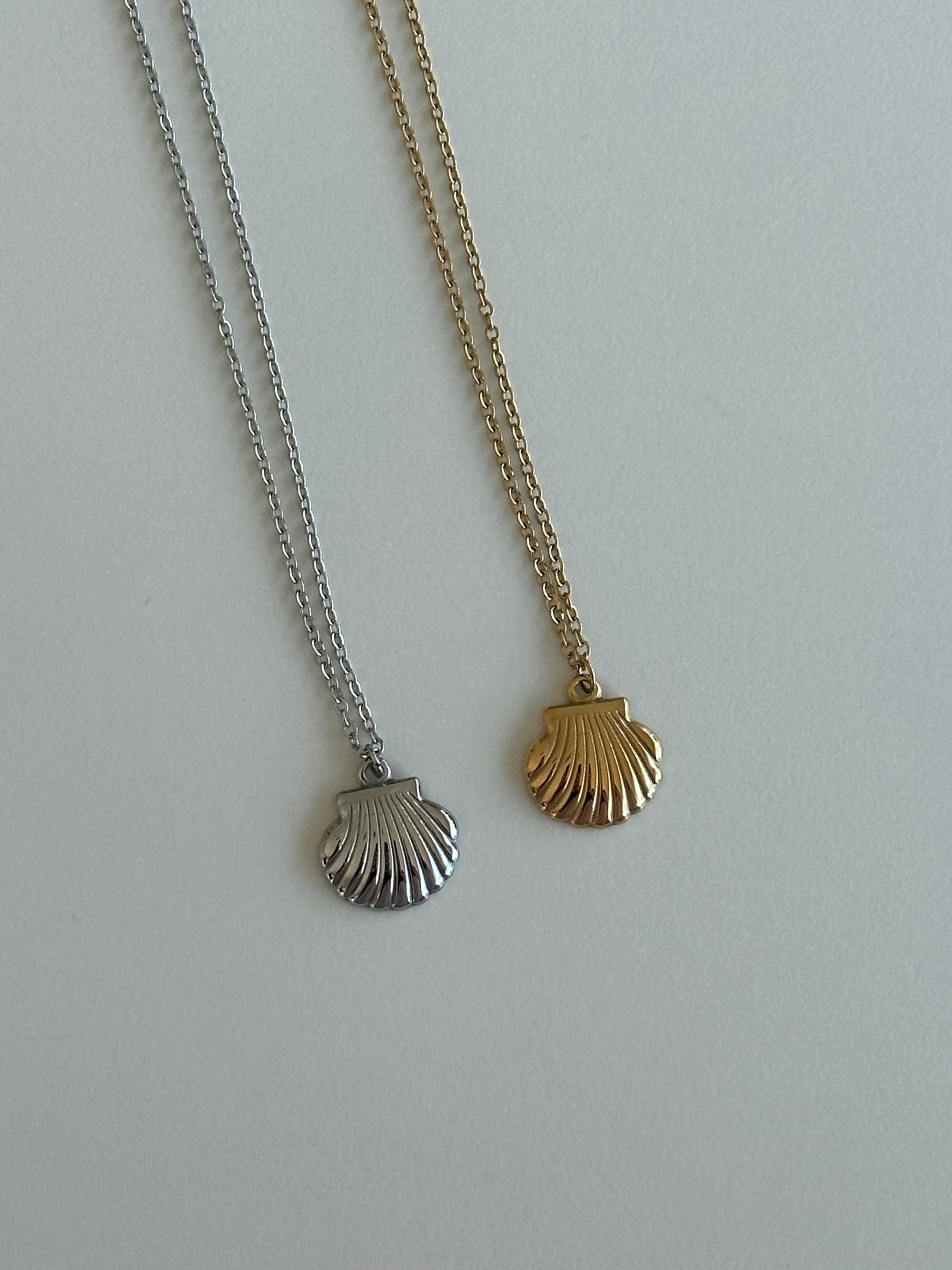 Perfect shell necklace